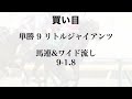 【共同通信杯2025】過去10年で勝ち馬から皐月賞馬が3頭輩出の出世レース【最終予想】