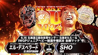 【新日本プロレス】エル・デスペラード vs SHO【IWGPジュニアヘビー級選手権試合 金網マッチ／2024.6.16 北海道立総合体育センター 北海きたえーる】