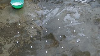 Aippasi madham Rangoli / Flowers kolam / easy muggulu