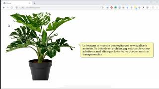 13 Tutorial de CreateJS. PreloadJS y Bitmap. Precarga de imágenes.