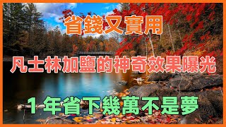 凡士林加鹽的神奇效果曝光！省錢又實用，一年省下幾萬不是夢！