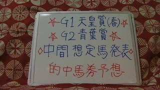 的中馬券予想 G1天皇賞（春）・G2青葉賞 中間想定馬発表