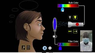 Color Vision Simulation | Science Experiment | Virtual Lab Simulation