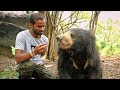 Saving the Dancing Bears | India