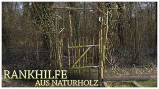 Rankhilfe für Kletterpflanzen - Naturholz - Audio-visuelle Entspannung