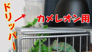 エボシカメレオン水やりドリッパー購入【自作できず】