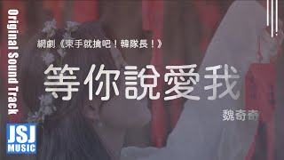 魏奇奇 | 等你說愛我 (網劇《束手就擒吧！韓隊長！Captain Han.》插曲) Official Lyrics Video【高音質 動態歌詞】