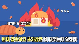 미친 생존력 빈대 잡으려면 초가삼간까지 태워야 했던 이유