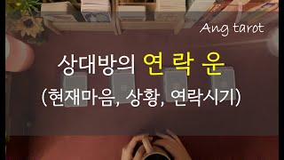 [타로/연애] 현재 에너지 기준, 상대방의 연락운 (현재마음, 연락시기)