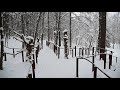 富良野 珈琲 森の時計 冬之雪 平原綾香 明日