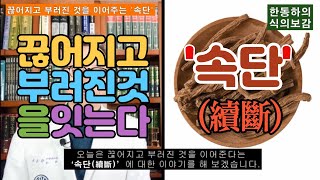 [식의보감] 끊어지고 부러진 것을 이어주는 ‘속단(續斷)’! 골재생, 골다공증, 성장발육, 요통, 관절염, 빈뇨, 전립선질환. (feat. 천속단 vs 한속단)