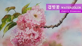 4월의 꽃 겹벚꽃 수채화로 그리기 취미 수채화 _ cherry blossoms watercolor