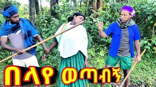 በላየ ወጣብኝ !! 🤣 አዲስ ምርጥ የገጠር ኮሜዲ ድራማ።