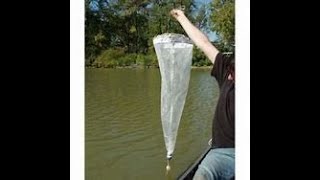 How to collect plankton sample using plankton net