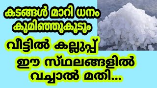 കടങ്ങൾ മാറി പണം വന്നുനിറയാൻ കല്ലുപ്പ് ഇവിടെ വെക്കുക #wealth #jyothishamastrology #cash