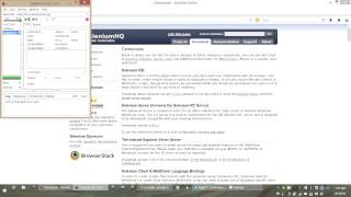Selenium IDE Test Suite Building Execution