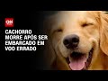 Cachorro morre após ser embarcado em voo errado | CNN PRIME TIME