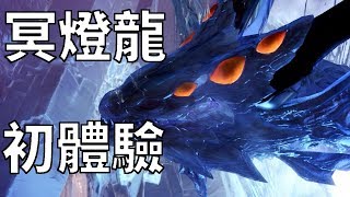 【MHW】冥燈龍！初體驗｜魔物獵人世界 MHW｜MONSTER HUNTER WORLD 攻略心得 PS4 /PC/XBOX