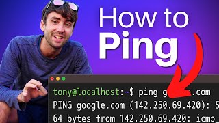 How To Use The ping Command (in Windows, Mac, and Linux)