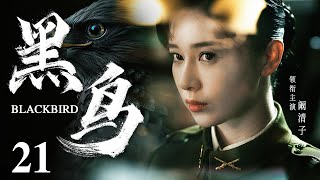 Blackbird 21 | Chinese drama | QingZi Kan ，Jue Huang，Adi，Liuyuan Ding