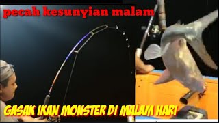 MANCING IKAN PREDATOR DI MALAM HARI INILAH TARIKAN NYA