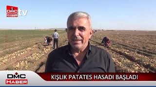 kışlık patates hasadı başladı. Verim yüksek fiyat düşük