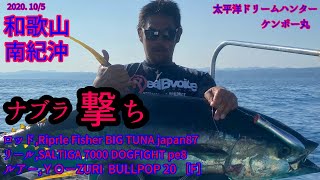 南紀　和歌山　太平洋　japan  キハダマグロ　キャスティング　ゲーム　大判カツオ　後　yellow tail TUNA