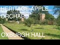 Heritage Apple Orchard Oxburgh Hall Norfolk