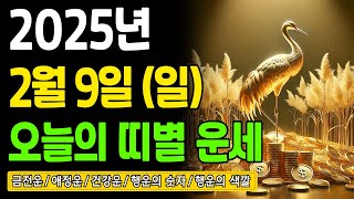 [오늘의 운세] 2025년 2월 9일 (일) 띠별운세