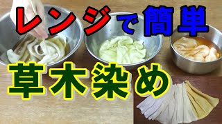 【お家で遊ぶ】草木染め～レンジで火を使わずに作る