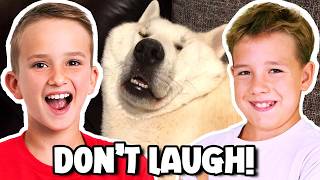 Extreme Try Not To Laugh Challenge!!