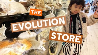 Eat Bug candy at the Evolution Store!