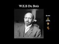 w e b du bois