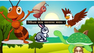 পিঁপড়ের কাছে খরগোসের জবাব ।। Bangla cartoon .animation cartoon.