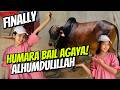 Aayat Arif II Finally Humara Bail Agaya (ALHUMDULILLAH) II vlog