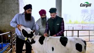 Cargill Feed ReviewllProgressive Dairy Farmer ll Video Recorded By @Cargill @PurinaFeedIndia