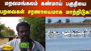 மறவமங்கலம் கண்மாய் பகுதியை பறவைகள் சரணாலயமாக மாற்றிடுக! | Bird Sanctuary | Maravamangalam