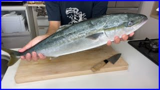 【魚の捌き方】見れば簡単！！捌く工程全て見せます！イナダの【お刺身】【炙り】