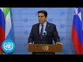 Israel on Lebanon - Security Council Media Stakeout | United Nations