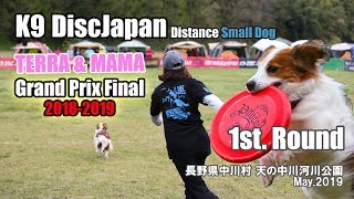 【ド緊張】小型犬クラス K9DJ GPF テラママ 緊張の1stラウンド ＠中川村 May01'2019