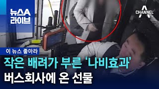 [이 뉴스 좋아라]작은 배려가 부른 ‘나비효과’…버스회사에 온 선물 | 뉴스A 라이브