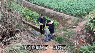 炮哥炮嫂以為小七小勇他們還在家，叫我來拿點好吃的東西回家吃