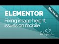 Elementor: Fixing image height issues on mobile