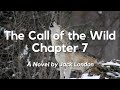 The Call of the Wild Chapter 7 by Jack London: English Audiobook with Text on Screen