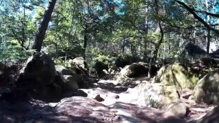 De melun à bourron-marlotte en vtt partie 26