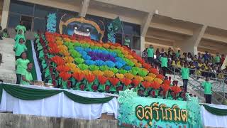 การแสดงกองเชียร์ คณะสีเขียว | สภาราชินีเกม 2562