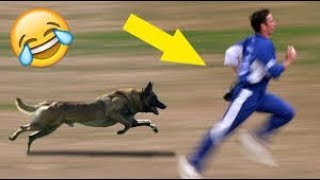 Best Funny Animal Attack on The player in Live Match / Best funny cricket match