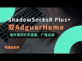 ShadowSocksR Plus+使用双AdGuardHome实现完美DNS分流功能 阻止DNS劫持 泄露等问题 优化网页打开速度视频缓冲时间 完美过滤国内外视频网站广告#一瓶奶油