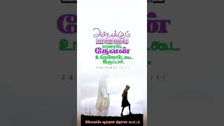 ஆறுதலின் வார்த்தை #tamildailybibleverse#worshiptojesusvadamattam