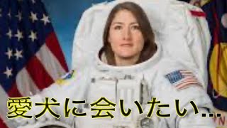 【世界のワンちゃん】宇宙飛行士が愛犬と再会！